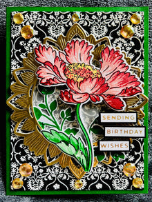 Cosmos Flower Birthday Card: Stamped Floral, Golden Frame