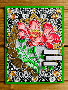 Cosmos Flower Birthday Card: Stamped Floral, Golden Frame