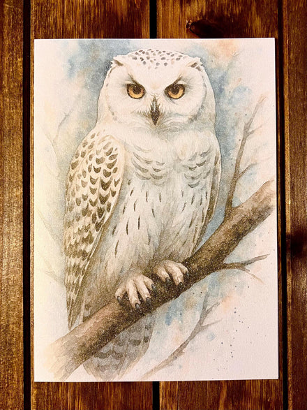 White Snow Owl Blank Card