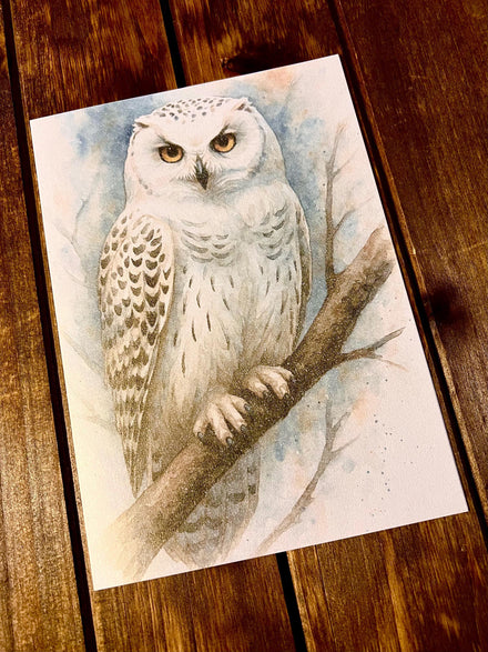 White Snow Owl Blank Card
