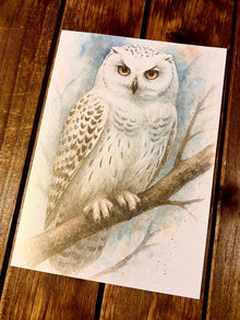 White Snow Owl Blank Card