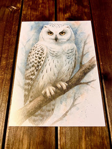 White Snow Owl Blank Card