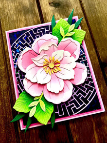 Open Pink Peony Blank Card
