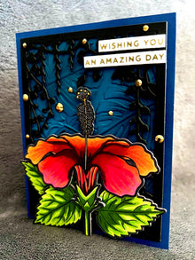 Centered Orange Hibiscus Wishing You an Amazing Day Card