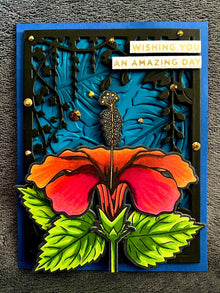 Centered Orange Hibiscus Wishing You an Amazing Day Card