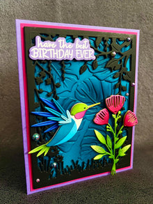 Hummingbird in Flight Best Birthday Ever Card