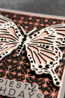 Close-Up Detail Shot