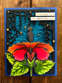 Centered Orange Hibiscus Wishing You an Amazing Day Card