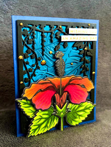 Centered Orange Hibiscus Wishing You an Amazing Day Card