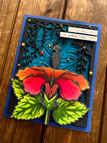 Centered Orange Hibiscus Wishing You an Amazing Day Card